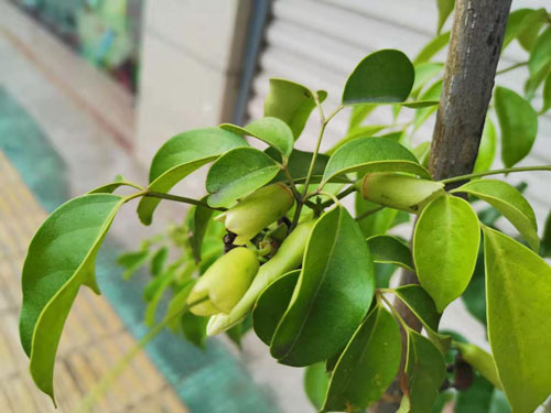 夏天不防晒 再多护肤都白费