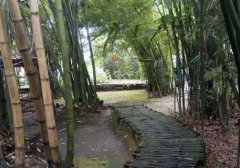 日常护肤中容易混淆的几个概念