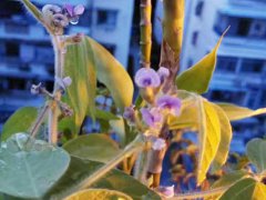 基础护肤步骤不对 难怪皮肤这么差