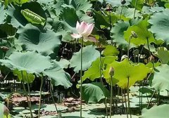 冬季护肤 拿什么才能拯救干燥肌