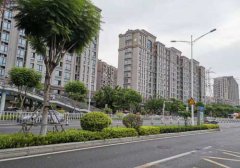 市面上眼部问题的解决办法 你知道哪几种?