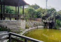 油性皮肤为什么那么“油”?
